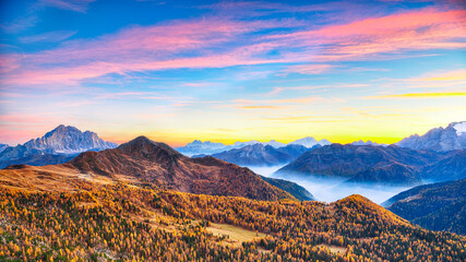 Autumn landscape with yellow larches and awesome  Monte Civetta at sunset  seen from Falzarego pass.