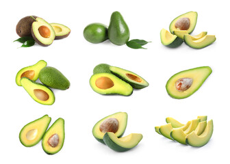 Set of cut and whole avocados on white background
