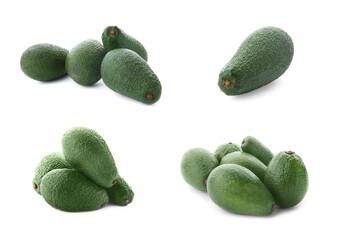 Set of whole avocados on white background