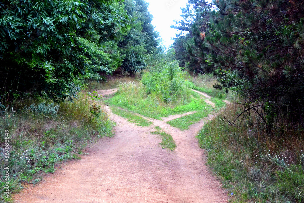 Wall mural landscape with fork rural roads in autumn forest.