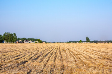 A view of Chinese countryside under a sunny day
