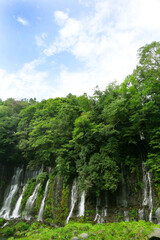静岡　富士宮　白糸ノ滝