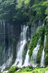 Naklejka premium 静岡 富士宮 白糸ノ滝