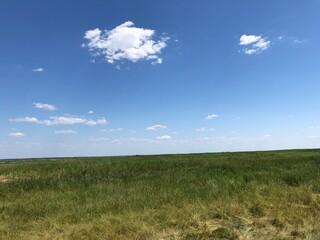 Obraz premium grass and sky