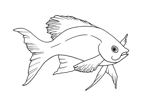 Hand drawn outline of a fish, drawing in Doodle style. Illustration for coloring, tattoo or logo.