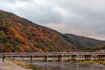 Fototapeta na wymiar 嵐山の紅葉と渡月橋