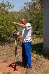 catching the snake
