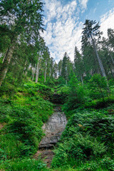 Fototapeta na wymiar The Rosshimmelwasserfall in the national park Black Forest in Germany, Kniebis / Freudenstadt