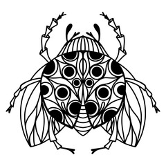 Vector black and white sketch of a ladybug. Coloring book for children, adults and teenagers. A cute insect with spots on its back and wings. Small details. Linear illustration. Vector illustration