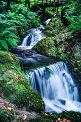 waterfall in the forest with green around and milky water