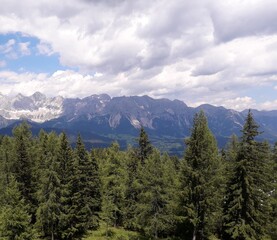Evergreen forest with mountains and cloudy sky in the background 