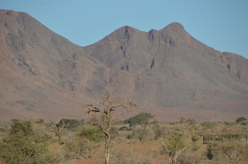 Road tripping through the Namibian Desert