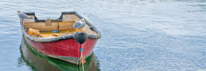 Rowing boat moored in harbour, England