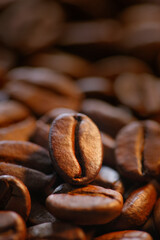 close-up of a single coffee bean with blurred background