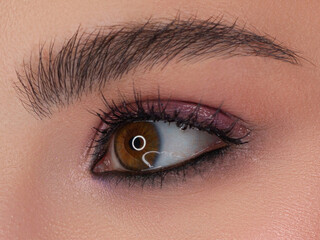 Obraz premium Cosmetics and make-up. Beautiful female eye with sexy black liner makeup. Fashion smoky eyes on woman's eyelid. Chic evening make-up