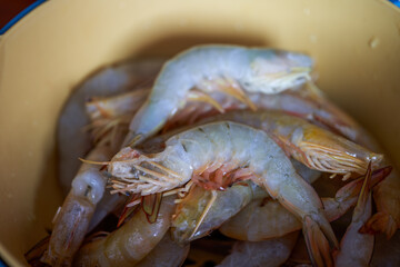 Fresh and plump sea shrimp, raw shrimp