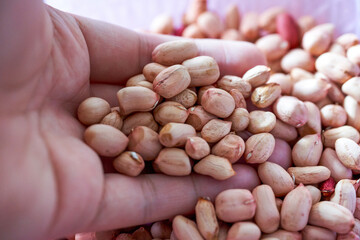 Fototapeta na wymiar A pile of shelled peanuts close-up