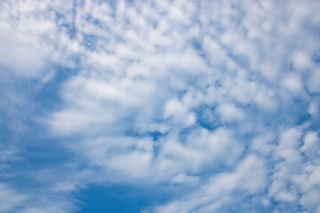 Fototapeta premium The blue sky was thick with white clouds like cotton candy