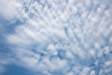 The blue sky was thick with white clouds like cotton candy