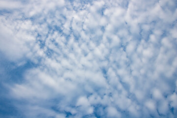 The blue sky was thick with white clouds like cotton candy