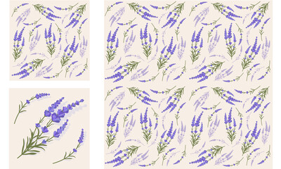 Fototapeta na wymiar Pattern lavender