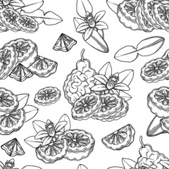 Seamless pattern of graphic bergamot fruits, leaves and flower