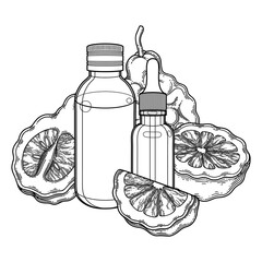 Graphic oil bottles surrounded by bergamot fruits