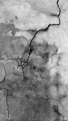 
Building wall concrete surface. Crack.
Background image for web design.
