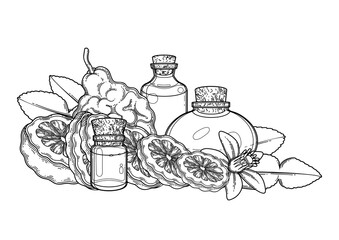 Graphic oil bottles surrounded by bergamot fruits, leaves and flower