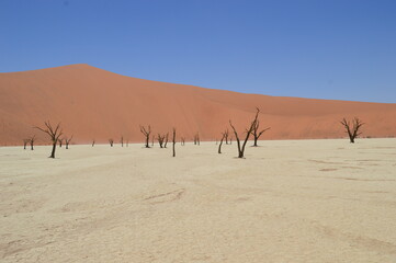 The red sand dunes of the Namib Desert around Sossusvlei, Namibia