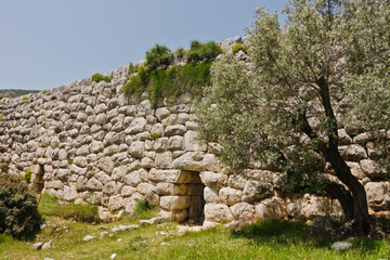 Details of old roman aquaduct wall with olive tree in front, near ancient Lycian city of Patara, Turkey