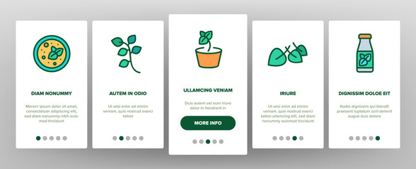 Oregano Herbal Plant Onboarding Mobile App Page Screen Vector. Oregano Spice Branch In Greenhouse And Garden, In Pot And Bottle, Spice On Pizza And Soup Illustrations