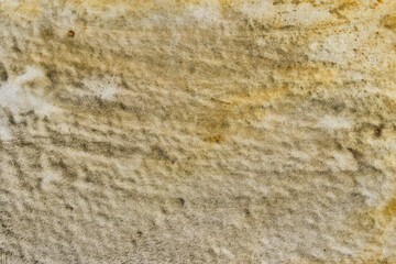 beige painted on paper background texture
