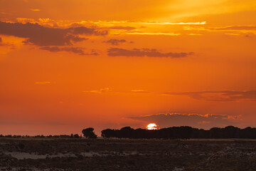 summer sunset orange color night