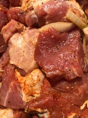 meat in spices