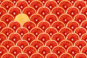 Close-up of fruit slice still life