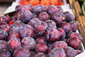 Red plums are sold at the farmers ' market. Fresh plums close-up. Selective and soft focus. Season of plums and other fruits.