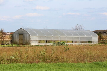 Old large garden greenhouse made of metal pipes covered with partially open semi transparent nylon in family house backyard surrounded with dried uncut grass and trees in background on warm sunny autu