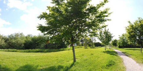 nice view in Germany Europe in summer time