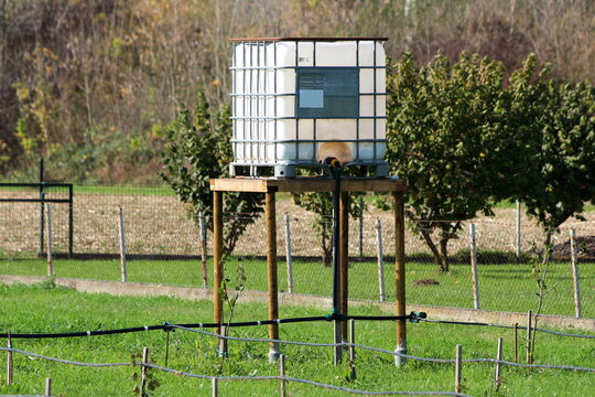 Used white intermediate bulk container or IBC plastic tank with metal cage used for water storage put on elevated wooden frame and connected to garden drip irrigation system in family house backyard s