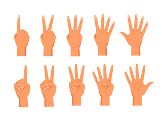 Obraz premium Set of vector hands showing fingers. Front and back view of palm with fingers counting. Sign for one and two, three, four, five numbers. Wrist with digit gesture. Math education for school. Arm count
