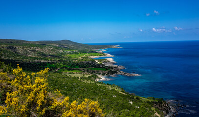 Green mountainous coast of the Mediterranean Sea on the Akamas Peninsula in the northwest of the island of Cyprus.
