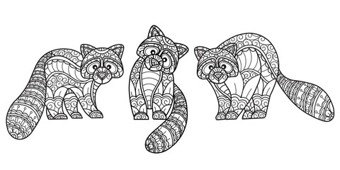 Raccoon pattern. Hand drawn sketch illustration for adult coloring book