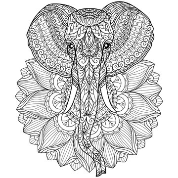 Elephant and lotus flower. Hand drawn sketch illustration for adult coloring book