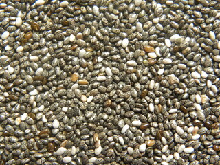White and black color raw whole Chia seeds or Salvia hispanica