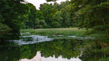 Fototapeta na wymiar Mirror reflection in lake water.