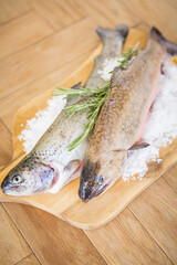 Frische Forelle und Saibling auf Eis 