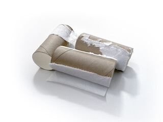 Empty toilet paper cores isolated on white background with shadows