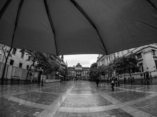Parisian Streetscape on a rainy day - From under an umbrella (black and white)