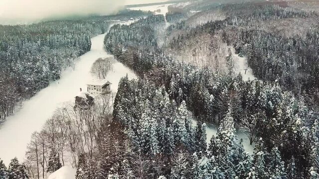Aerial view of skiers at ski resort in Myoko, Niigata, Japan